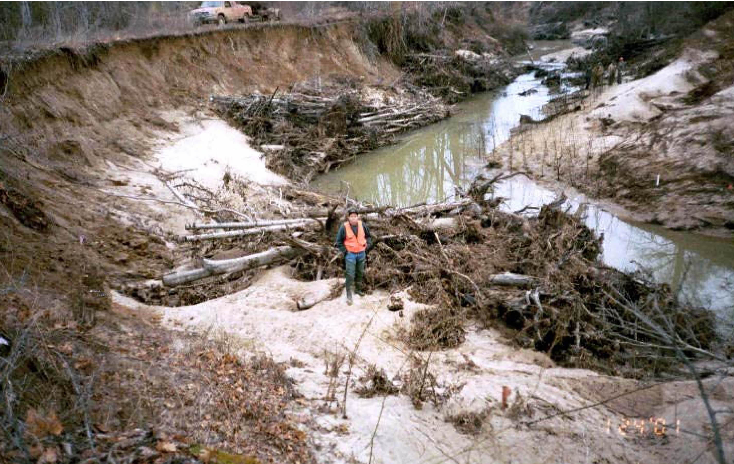Metodología para reforestar ríos degradados por actividades humanas, usando técnicas de Bioingeniería
